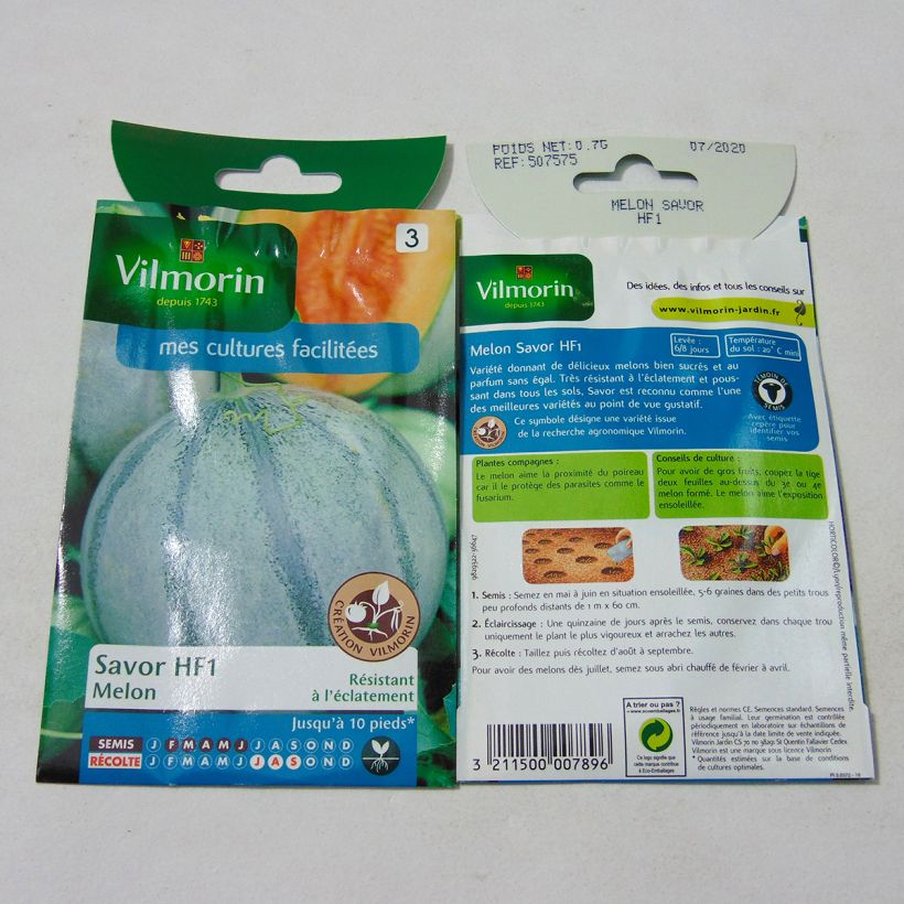Exemple de spécimen de Melon Savor F1 (Création Vilmorin) - Vilmorin le sachet de 21 graines environ (0.7g) tel que livré