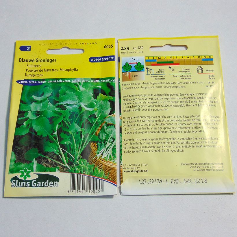 Example of Mesophylla Blauwe Groninger le sachet de 850 graines environ (2g) as you get