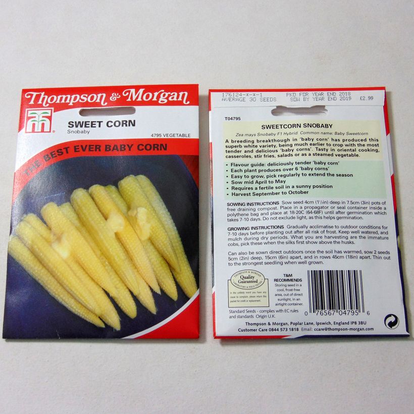 Exemple de spécimen de Mini maïs doux sucré Snobaby - Zea mays le sachet de 30 graines environ tel que livré