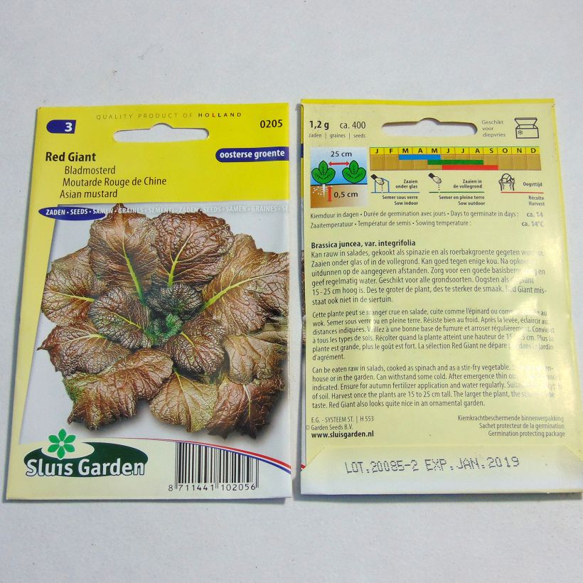 Example of Moutarde Rouge de Chine Red Giant le sachet de 800 graines environ (2g) as you get