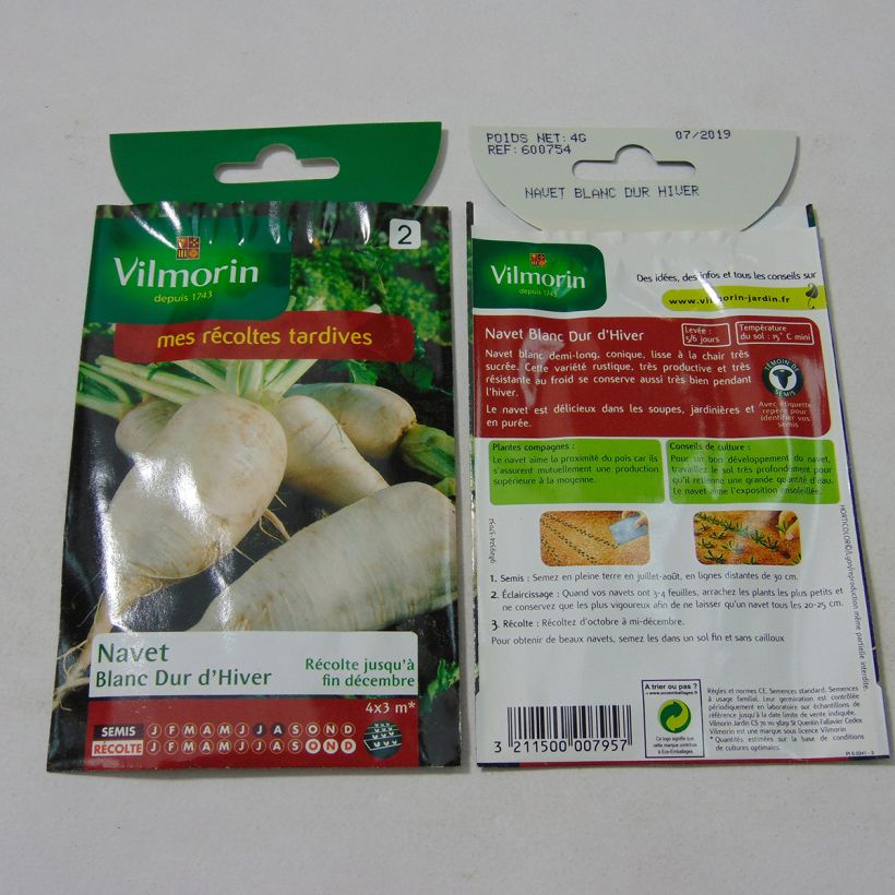 Exemple de spécimen de Navet Blanc Dur d'Hiver - Vilmorin le sachet de 1600 graines environ (4g) tel que livré