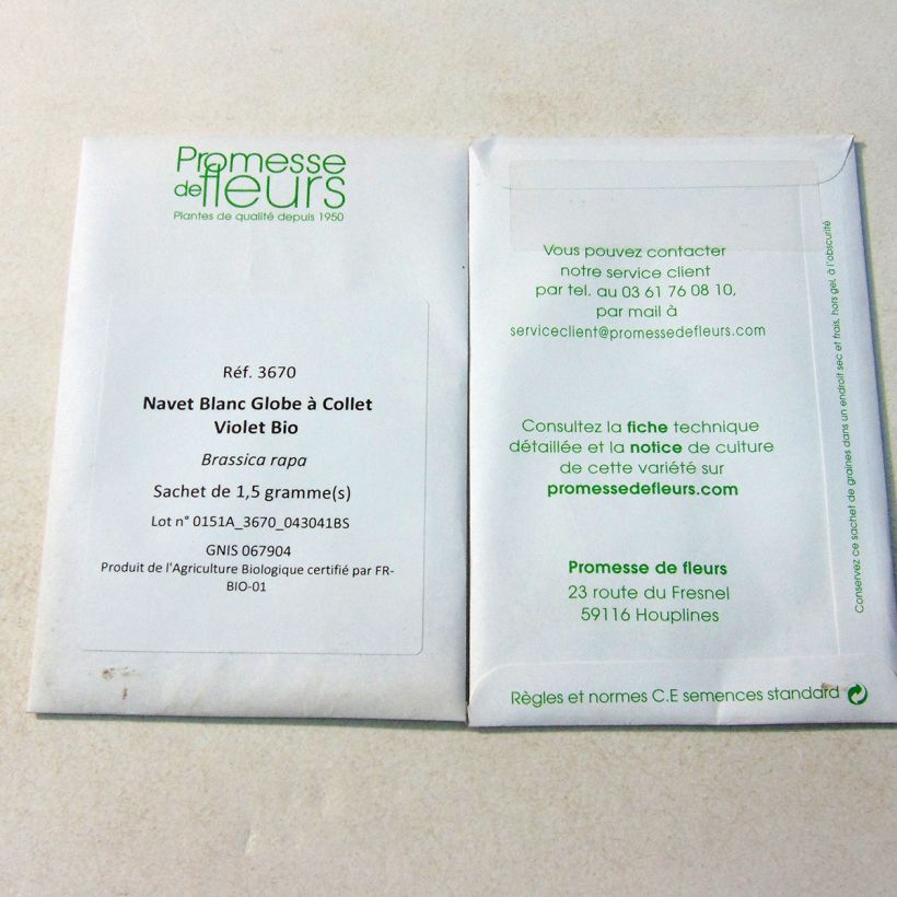 Exemple de spécimen de Navet Blanc Globe à Collet Violet Bio - Brassica rapa Graines tel que livré