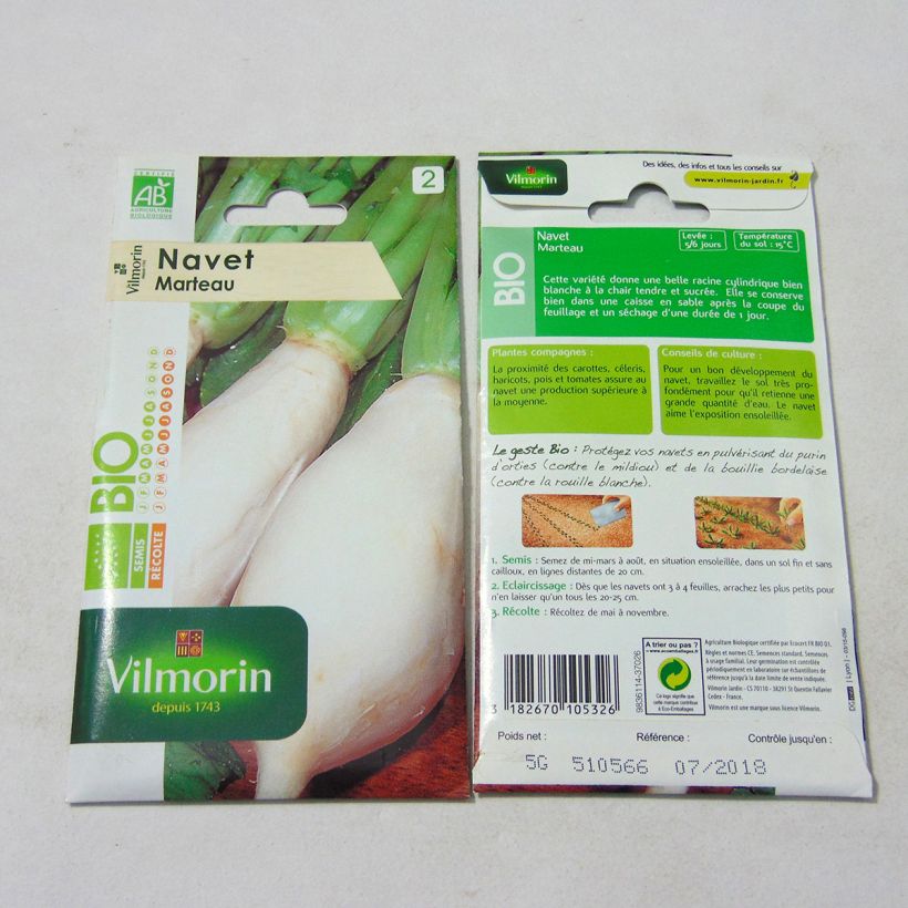 Exemple de spécimen de Navet Marteau Bio - Vilmorin  le sachet de 2000 graines environ (5g) tel que livré