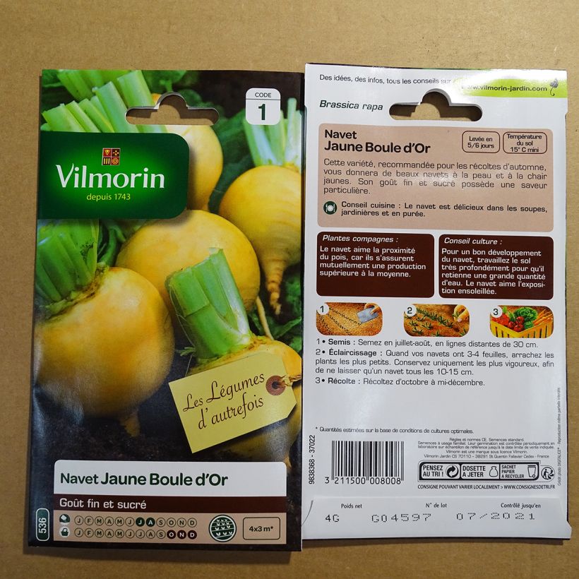 Example of Navet jaune Boule d'Or - Vilmorin - Brassica rapa le sachet de 1600 graines environ (4g) as you get