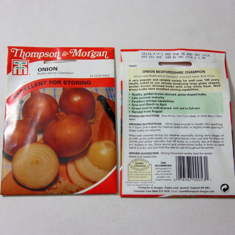 Exemple de spécimen de Oignon Bedfordshire Champion - Allium cepa le sachet de 250 graines environ tel que livré