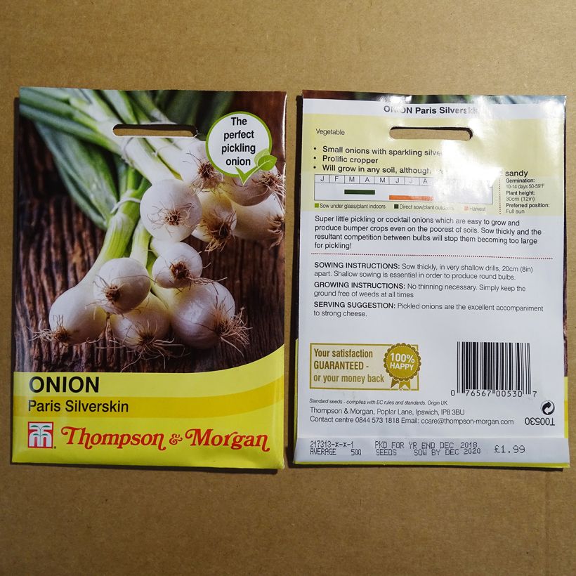Exemple de spécimen de Oignon Blanc de Paris Silverskin - Allium cepa le sachet de 500 graines environ tel que livré