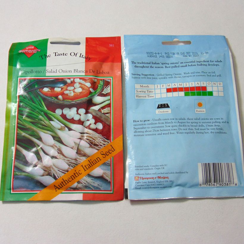 Exemple de spécimen de Oignon de printemps Cipollotto Blanca de Lisboa (blanc de Lisbonne) - Allium cepa le sachet de 1400 graines environ tel que livré