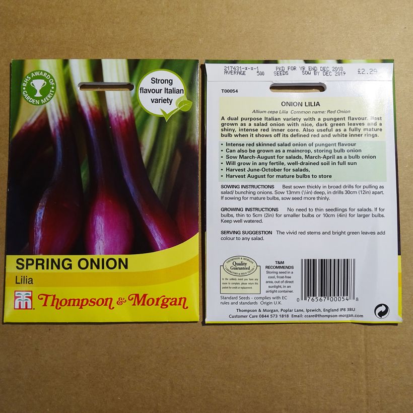Exemple de spécimen de Oignon rouge de printemps Lilia - Allium cepa le sachet de 500 graines environ tel que livré