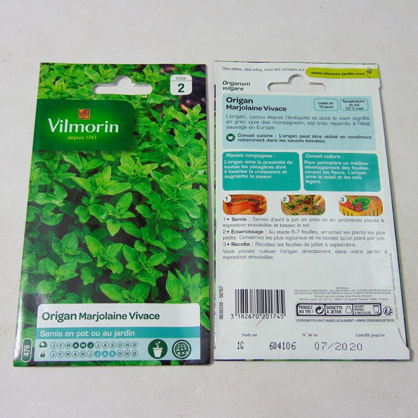 Exemple de spécimen de Origan - Marjolaine vivace - Vilmorin le sachet de 12000 graines environ (1g) tel que livré
