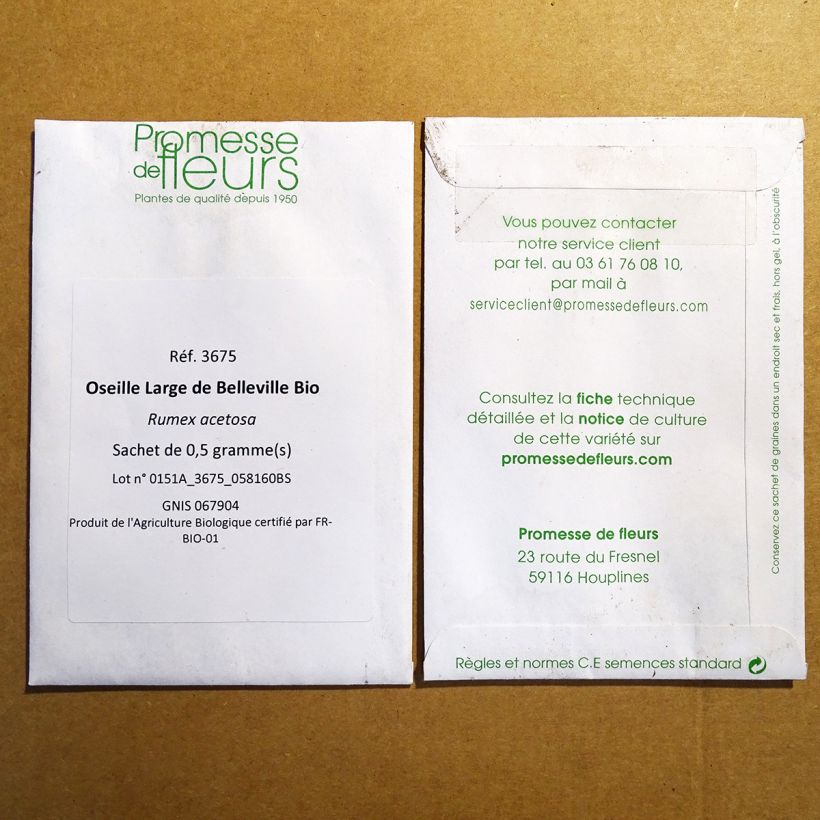 Exemple de spécimen de Oseille Large de Belleville Bio - Rumex acetosa le sachet de 500 graines environ (0.5g) tel que livré