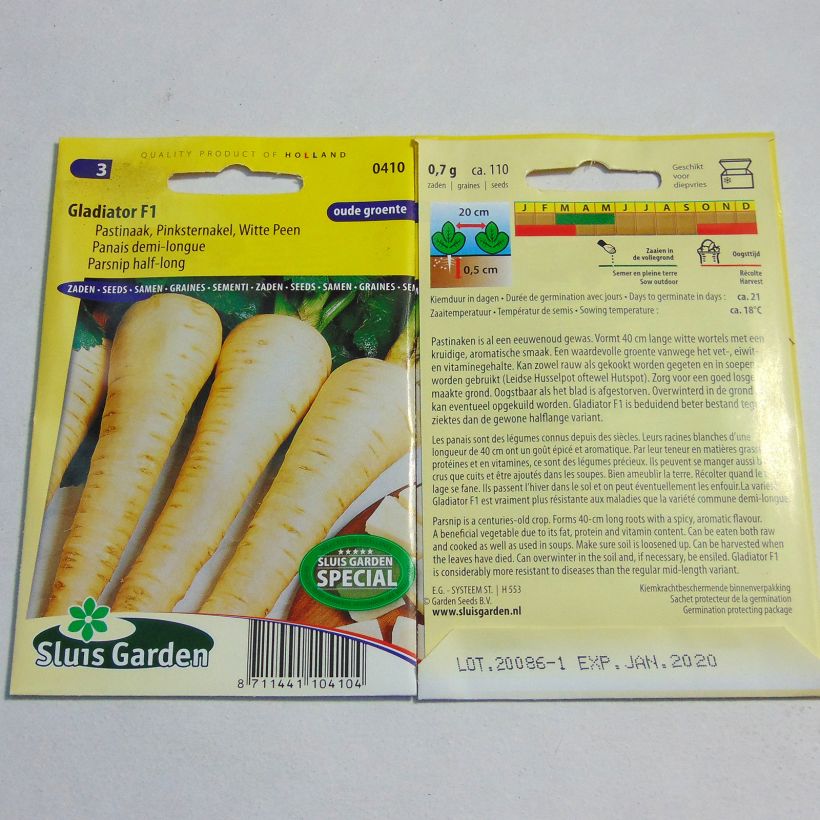 Example of Panais demi-long Gladiator F1 - Pastinaca sativa - grand chervis - pastenade - patenais le sachet de 110 graines environ as you get