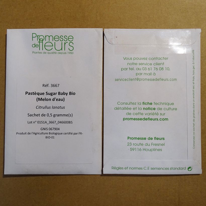 Example of Pastèque Sugar Baby Bio (Melon d'eau) - Citrullus lanatus le sachet de 20 graines environ (1g) as you get