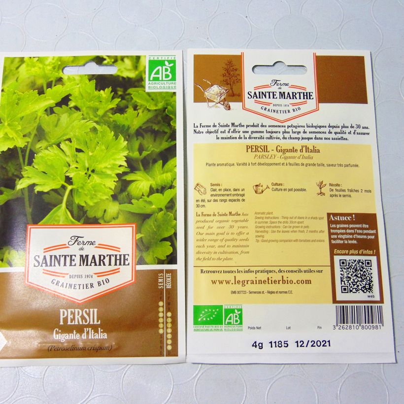 Exemple de spécimen de Persil Géant d'Italie Bio - Ferme de Sainte Marthe le sachet de 1700 graines environ (4g) tel que livré