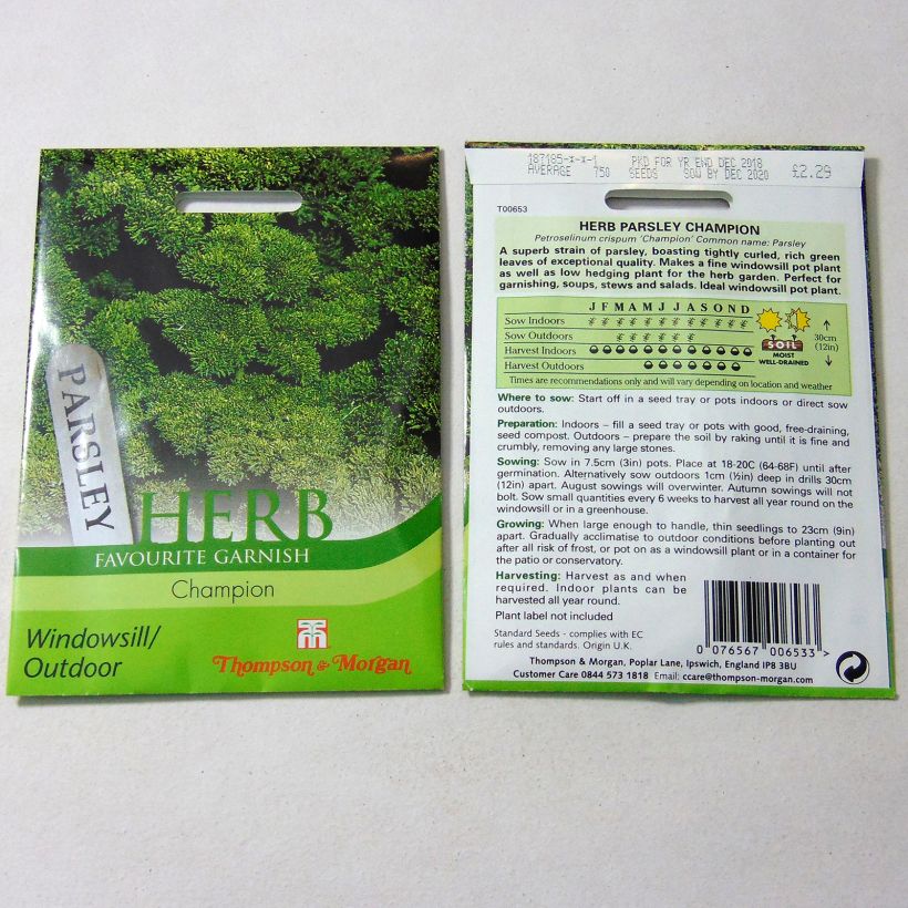 Exemple de spécimen de Persil frisé Champion le sachet de 1750 graines environ tel que livré