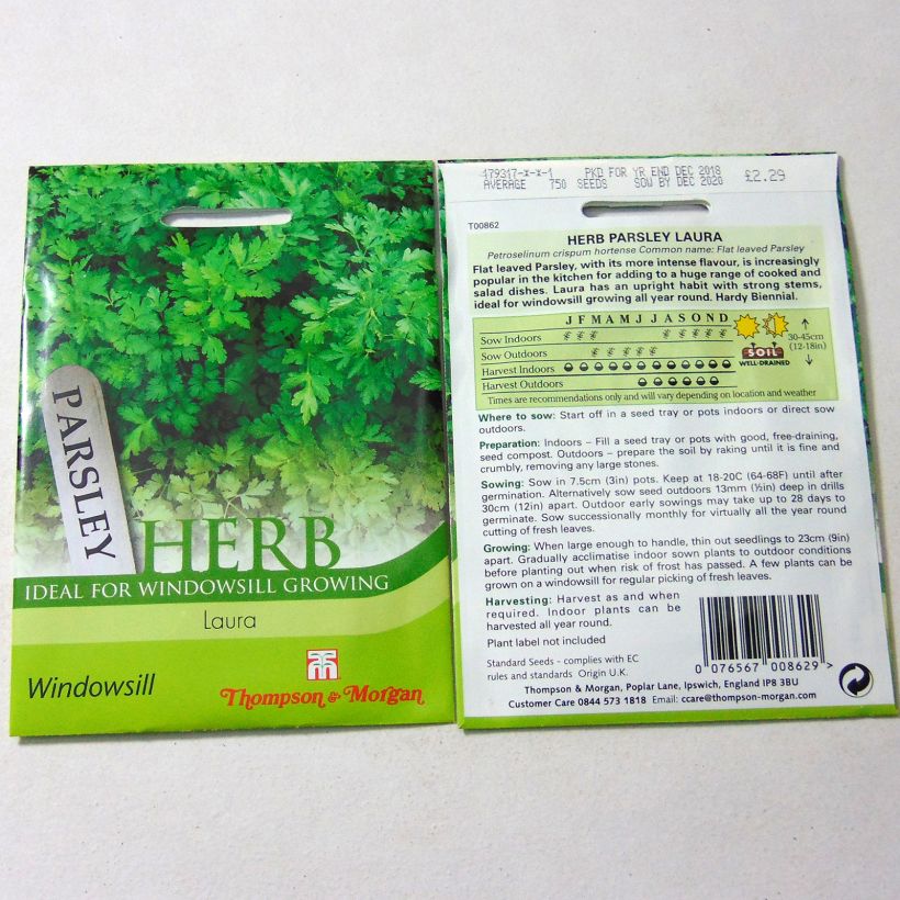 Exemple de spécimen de Persil plat Laura le sachet de 750 graines environ tel que livré