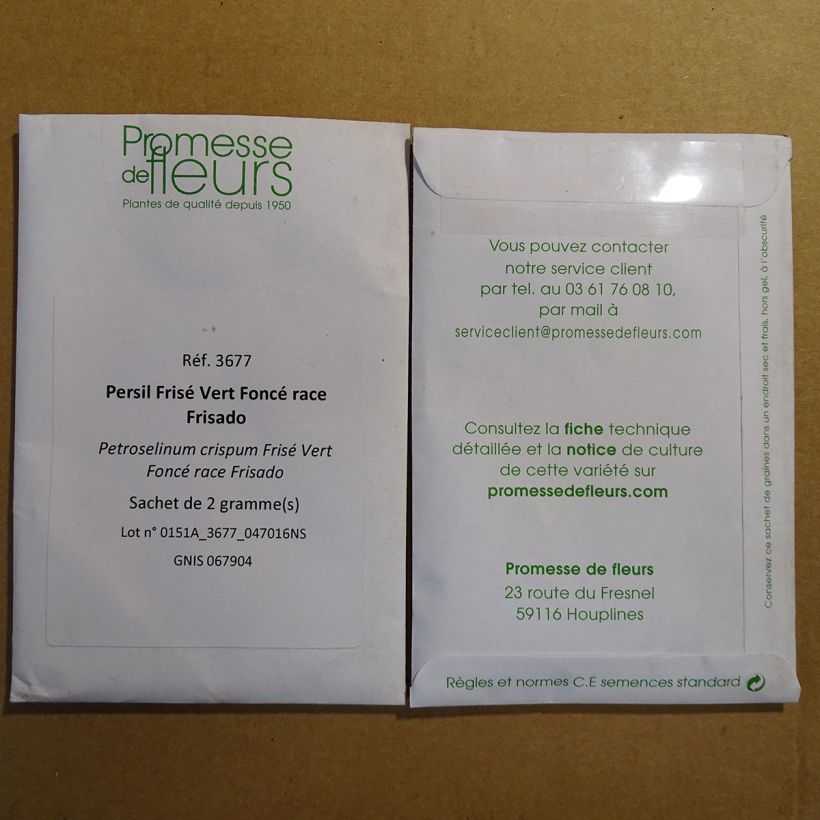 Exemple de spécimen de Persil frisé vert foncé race Frisado le sachet de 1200 graines environ (2g) tel que livré