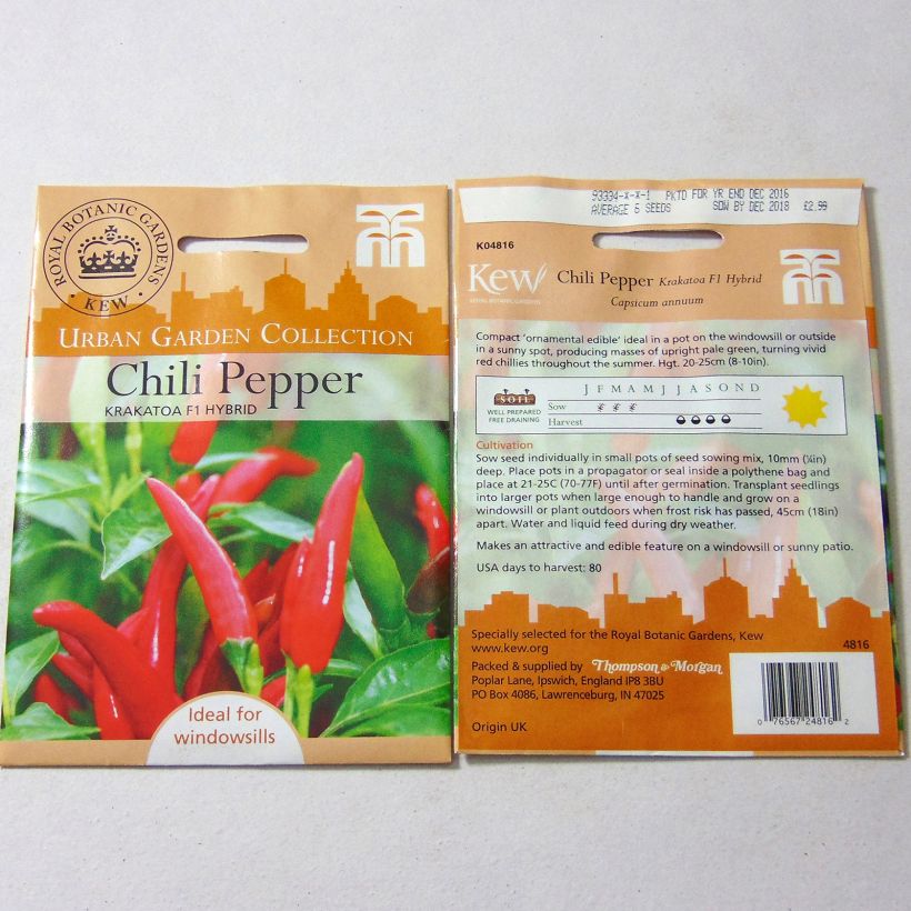 Exemple de spécimen de Piment Krakatoa - Capsicum annuum le sachet de 6 graines environ tel que livré