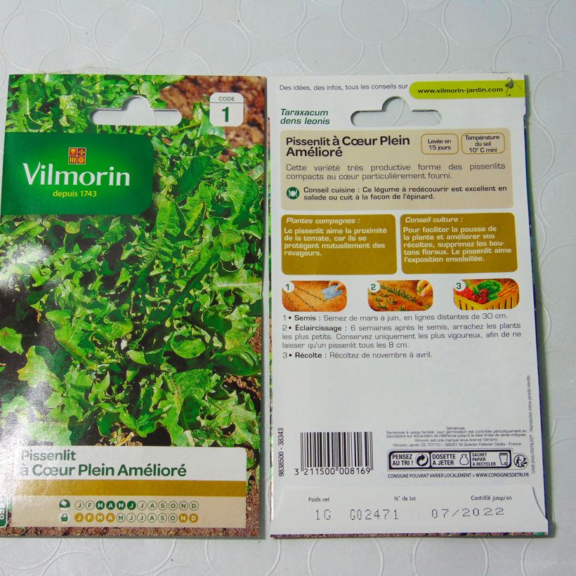 Exemple de spécimen de Pissenlit à Cœur Plein amélioré - Vilmorin le sachet de graines de 1 grammes tel que livré
