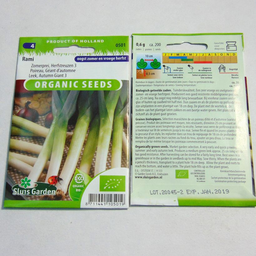 Exemple de spécimen de Poireau Géant d’automne 3 Rami Bio - Allium porrum le sachet de 200 graines environ tel que livré