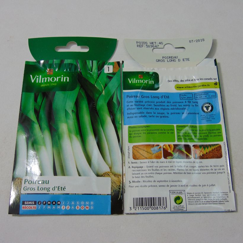 Exemple de spécimen de Poireau Gros Long d'Eté 2 - Vilmorin le sachet de 1000 graines environ (4g) tel que livré
