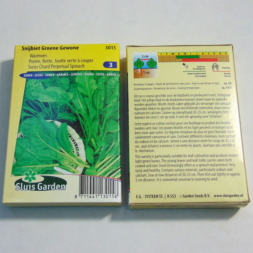 Exemple de spécimen de Poirée verte à couper Groene Gewone - Blette - Beta vulgaris le sachet de 1000 graines environ (25g) tel que livré