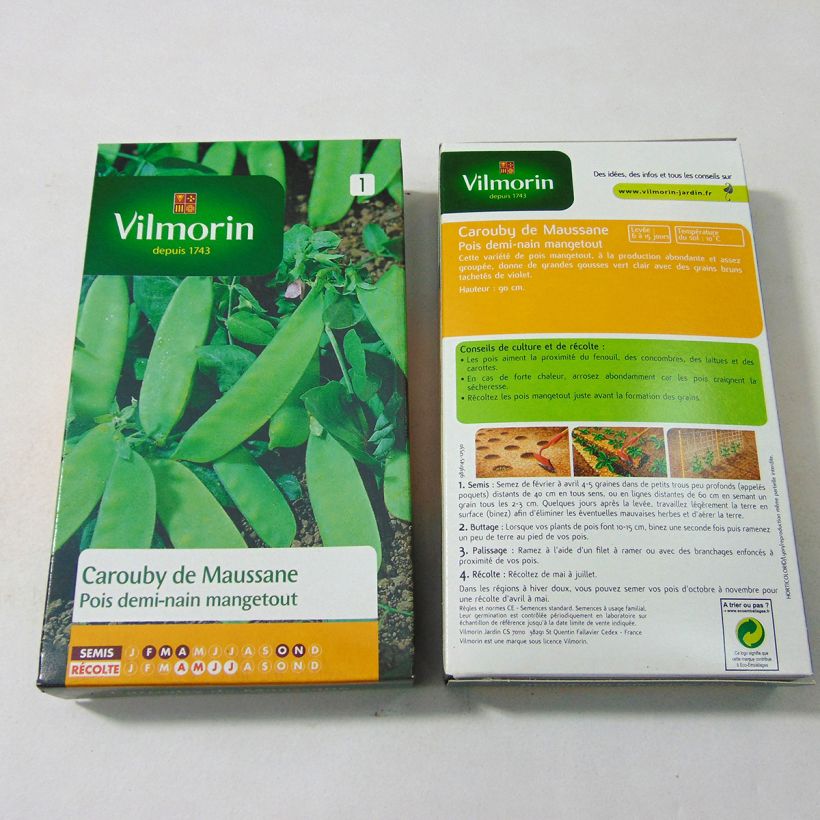 Exemple de spécimen de Pois demi-ramant Carouby de Maussane mangetout - Vilmorin le sachet de 540 graines environ (180g) tel que livré
