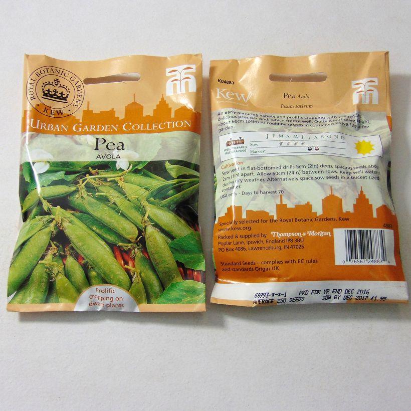 Exemple de spécimen de Pois nain Avola le sachet de 250 graines environ tel que livré