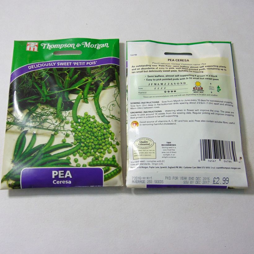 Exemple de spécimen de Pois nain Ceresa   le sachet de 250 graines environ tel que livré