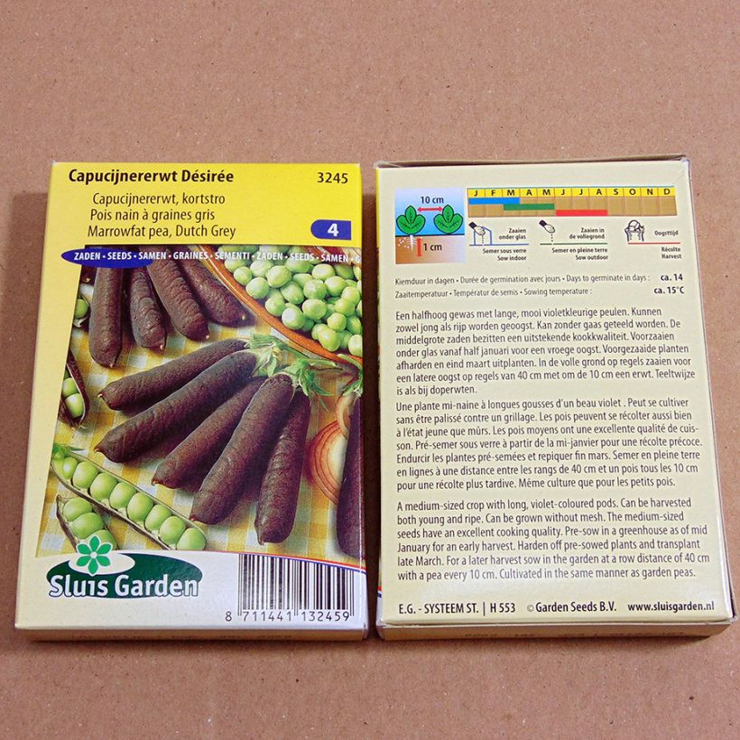 Exemple de spécimen de Pois nain Désirée à grains ridés - Pisum sativum le sachet de graines de 60 grammes tel que livré