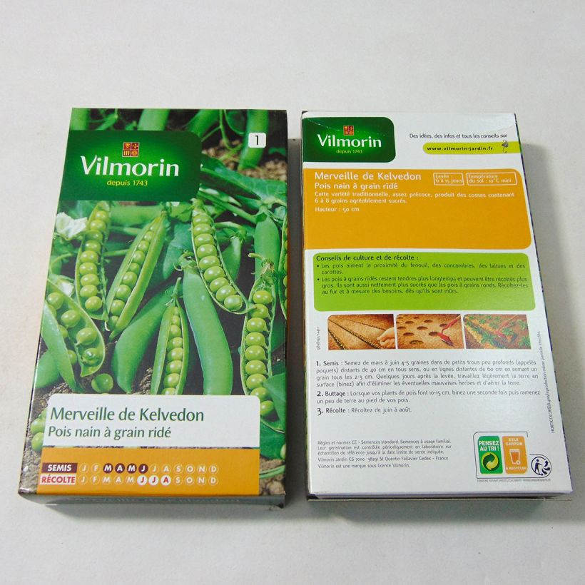Exemple de spécimen de Pois nain Merveille de Kelvedon à grain ridé - Vilmorin pour une ligne de 20m tel que livré
