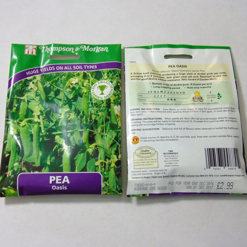 Exemple de spécimen de Pois nain Oasis le sachet de 250 graines environ tel que livré