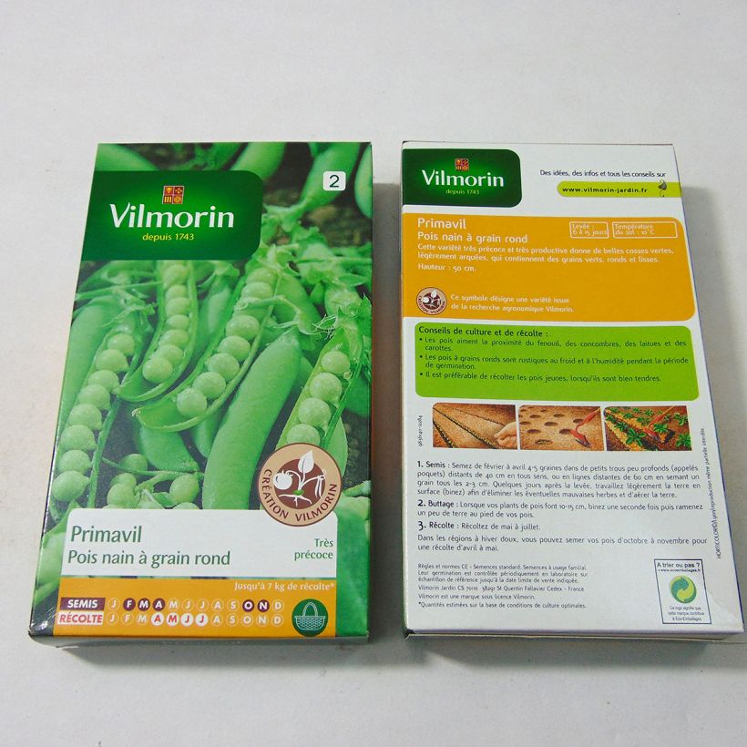 Exemple de spécimen de Pois nain Primavil à grain rond - Création Vilmorin le sachet de 600 graines environ (200g) tel que livré