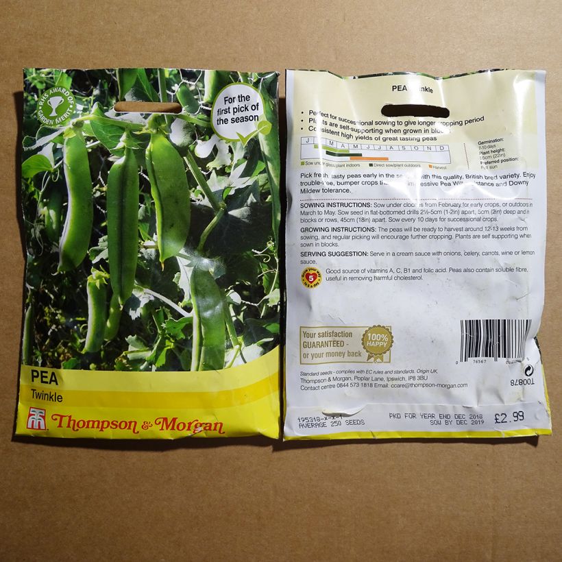 Exemple de spécimen de Pois nain Twinkle le sachet de 250 graines environ tel que livré