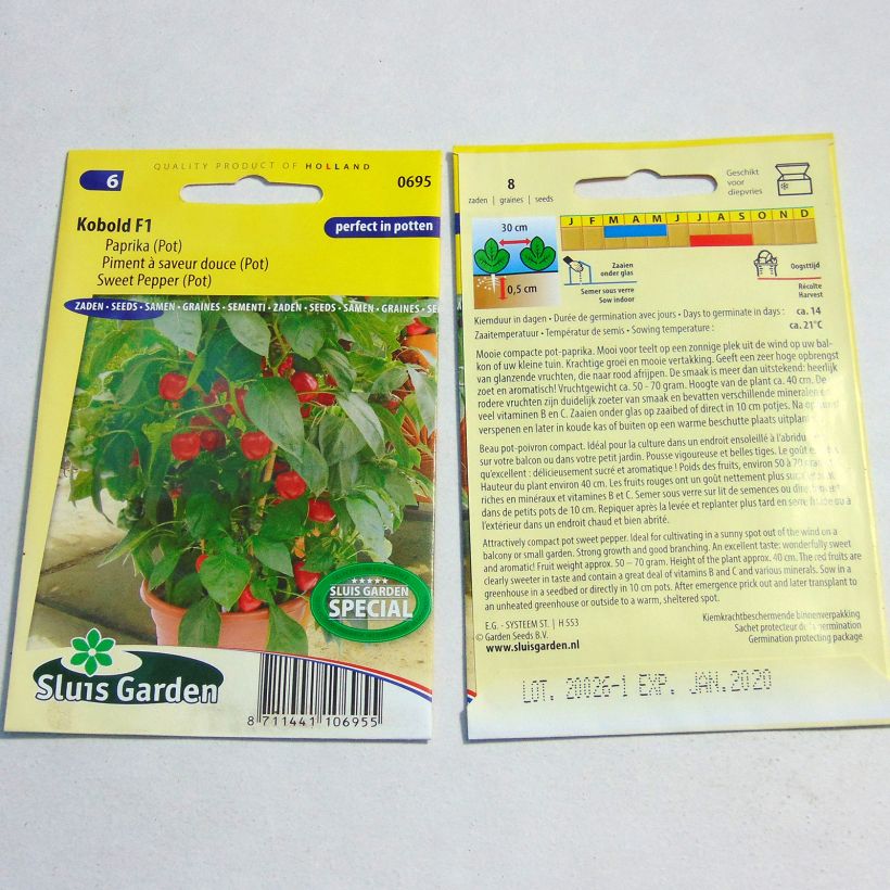 Example of Poivron Kobold F1 - Piment à saveur douce le sachet de 8 graines environ as you get