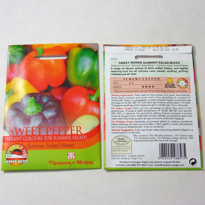 Exemple de spécimen de Poivron Summer Salad Mixed - Capsicum annuum le sachet de 14 graines environ tel que livré