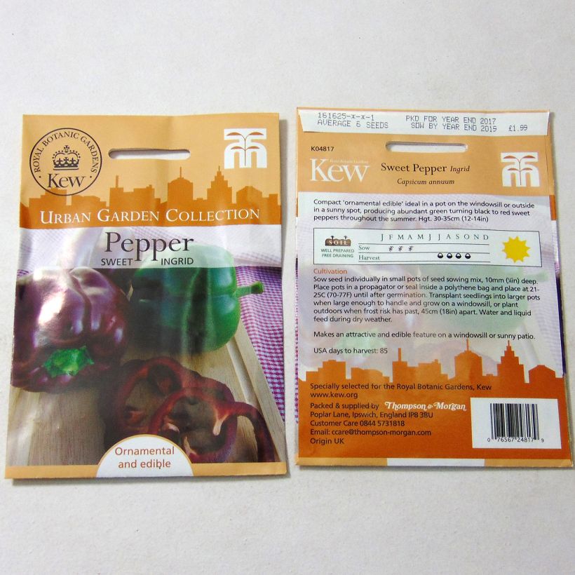 Example of Poivron Sweet Ingrid - Capsicum annuum le sachet de 6 graines environ as you get