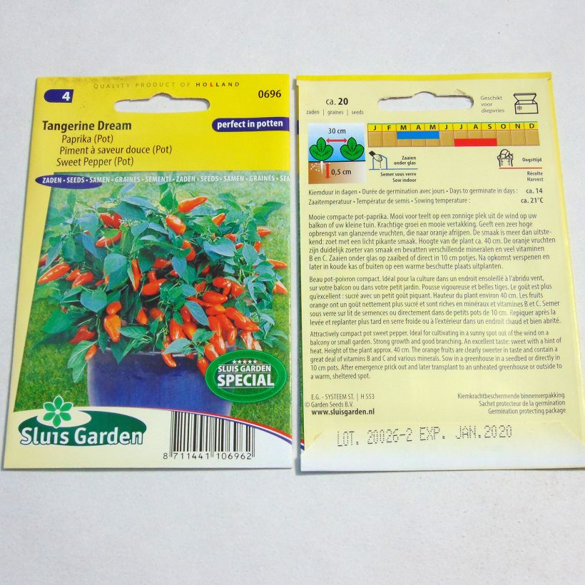 Exemple de spécimen de Poivron Tangerine Dream - Capsicum annuum le sachet de 20 graines environ tel que livré