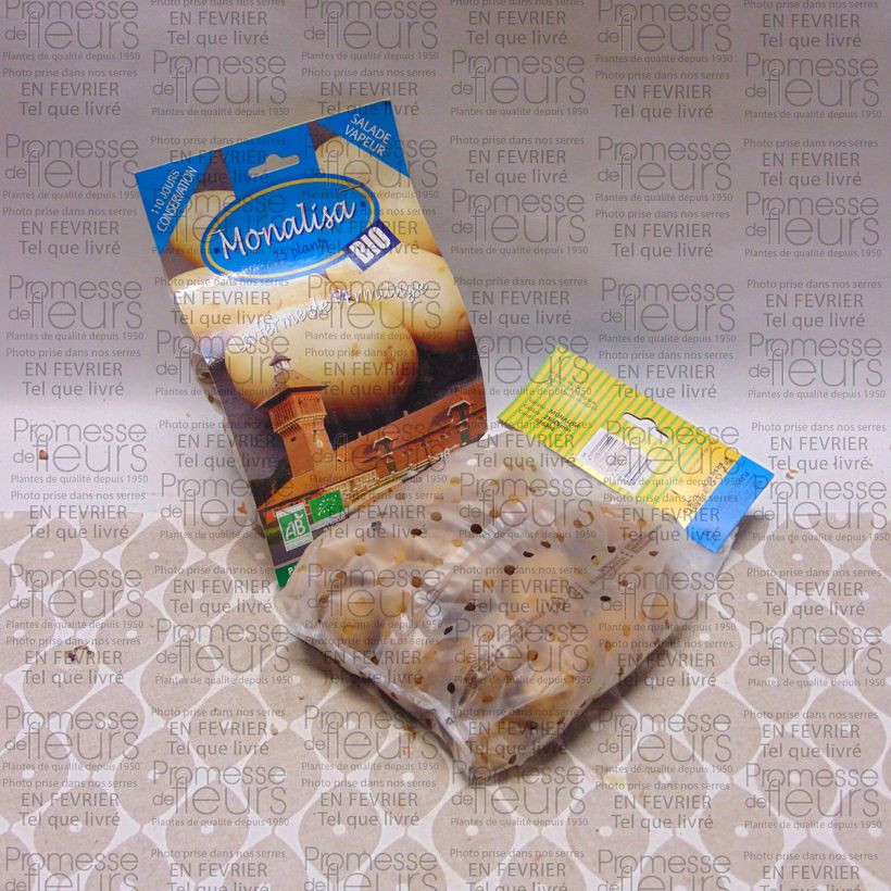 Example of Pommes de terre Mona Lisa Bio - Solanum tuberosum Sac de 25 plants calibre 28/45 mm as you get
