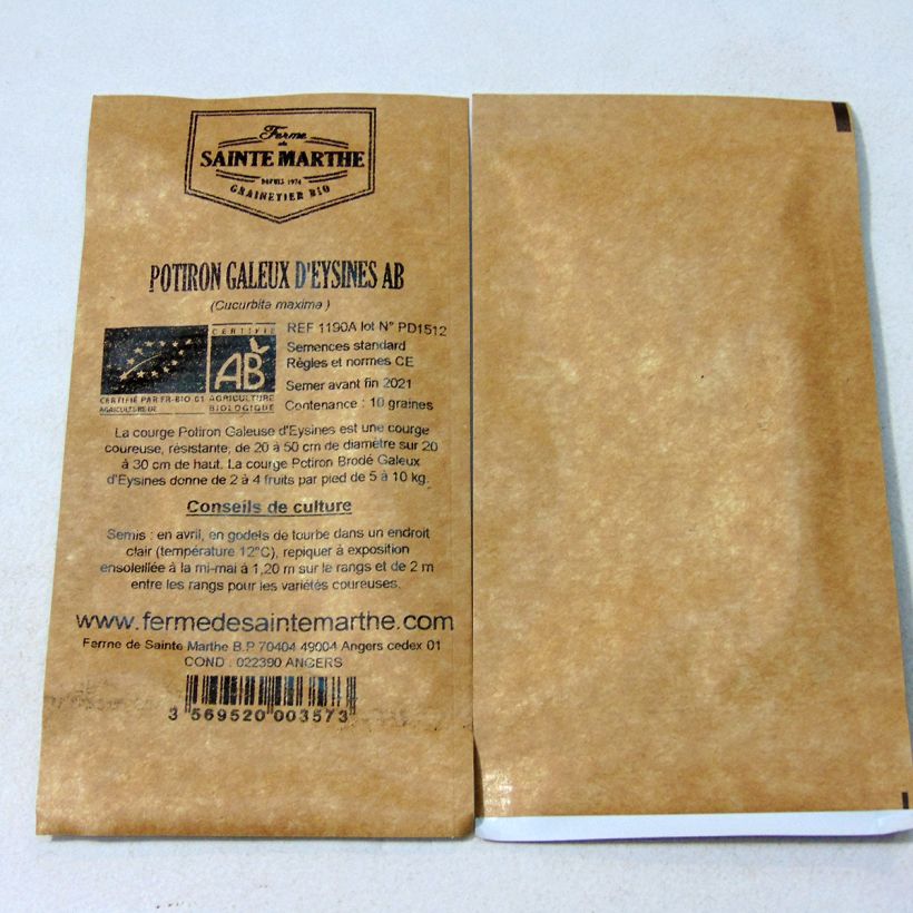 Exemple de spécimen de Potiron Galeuse d'Eysines Bio - Ferme de Sainte Marthe le sachet de 10 graines environ (minimum 2g) tel que livré