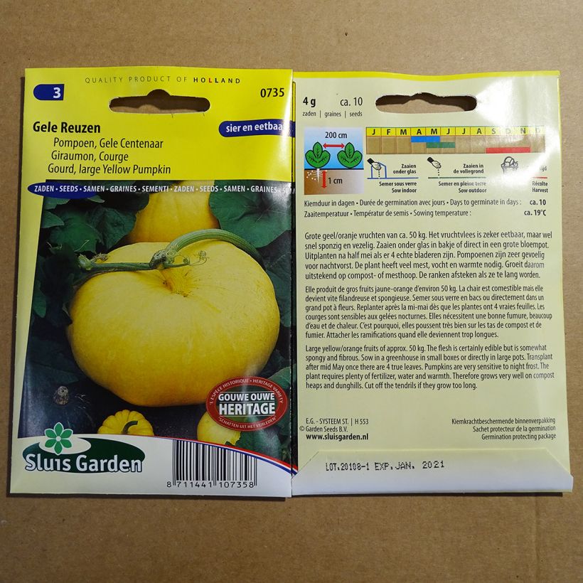 Exemple de spécimen de Potiron Giraumon Gele Reuzen - Cucurbita maxima le sachet de 10 graines environ (4g) tel que livré