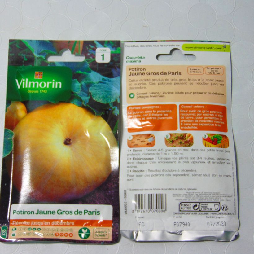 Example of Potiron Jaune Gros de Paris - Vilmorin le sachet de 36 graines environ (6g) as you get