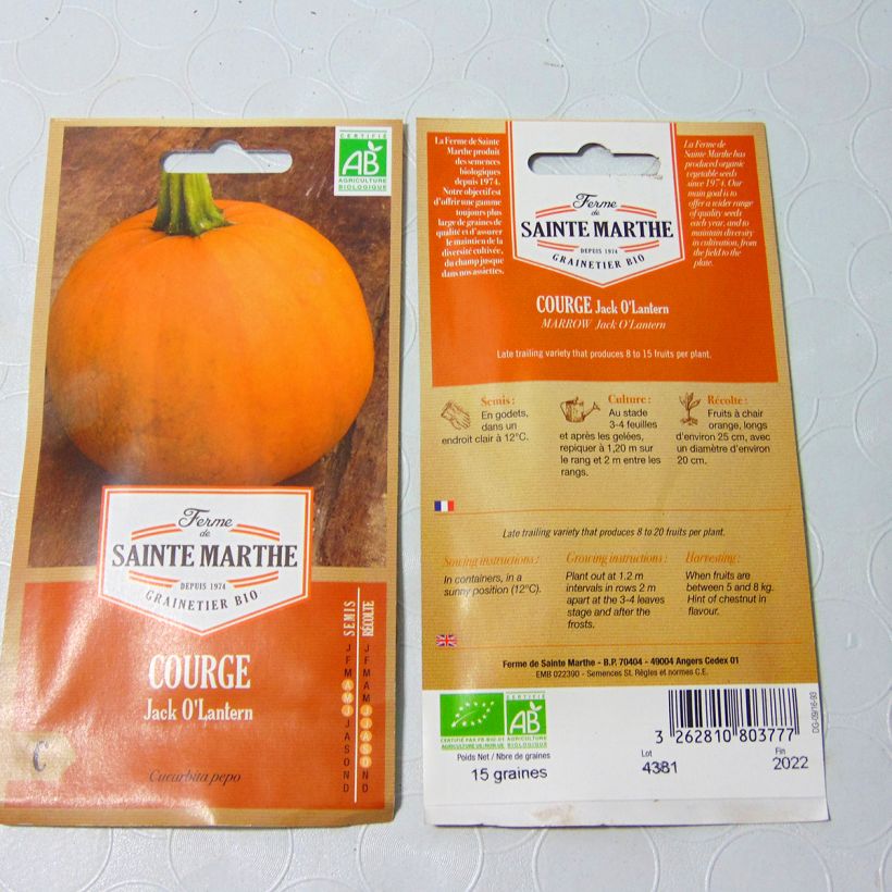 Exemple de spécimen de Citrouille d'Halloween Jack O'Lantern Bio - Ferme de Sainte Marthe le sachet de 8 graines environ (1g) tel que livré
