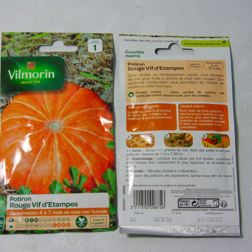 Exemple de spécimen de Potiron rouge vif d'Etampes - Vilmorin le sachet de 36 graines environ (6g) tel que livré