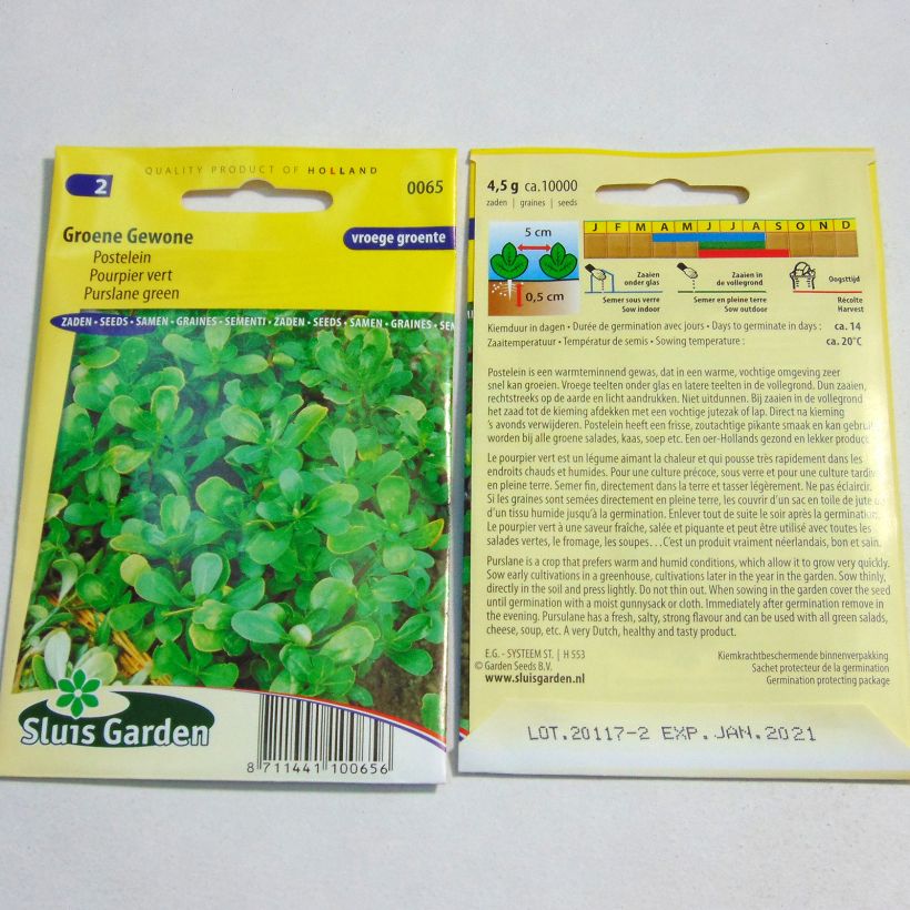 Example of Pourpier vert - Portulaca oleracea le sachet de 10000 graines environ (4g) as you get