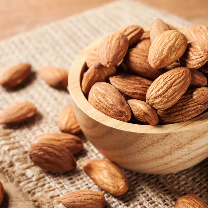 Amandier Desmayo Largueta (Harvest)