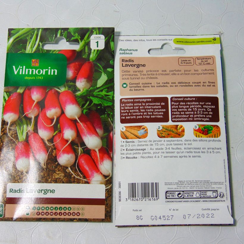 Example of Radis Lavergne - Vilmorin le sachet de 640 graines environ (8g) as you get