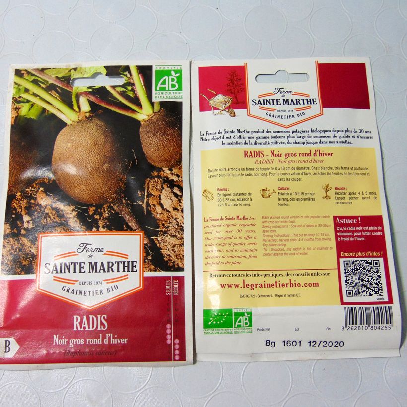 Exemple de spécimen de Radis Noir Gros Long d'Hiver Bio - Ferme de Sainte Marthe le sachet de 1000 graines environ (8g) tel que livré