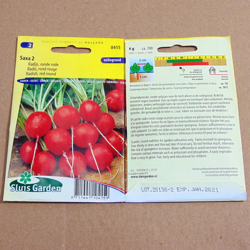 Example of Radis Rond rouge Saxa 2 - Raphanus sativus le sachet de 700 graines environ (6g) as you get