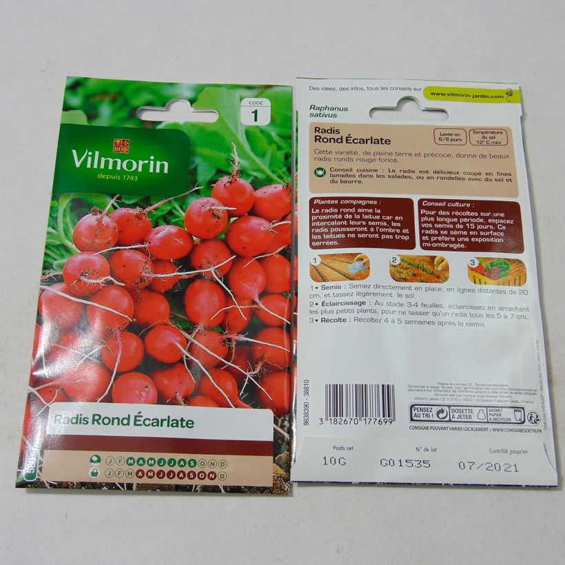 Example of Radis rond écarlate - Vilmorin le sachet de 800 graines environ (10g) as you get