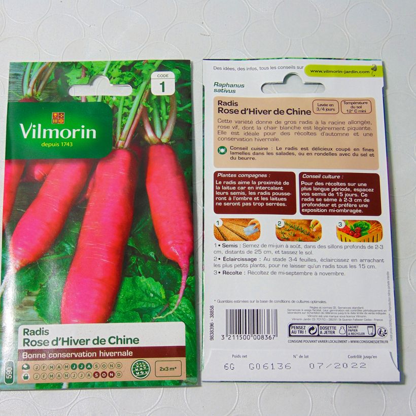 Example of Radis rose d'hiver de Chine - Vilmorin le sachet de 480 graines environ (6g) as you get